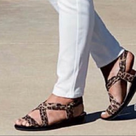Buckle Shoes - NIB Leopard Kitten Heel Slingback Wedge Sandal